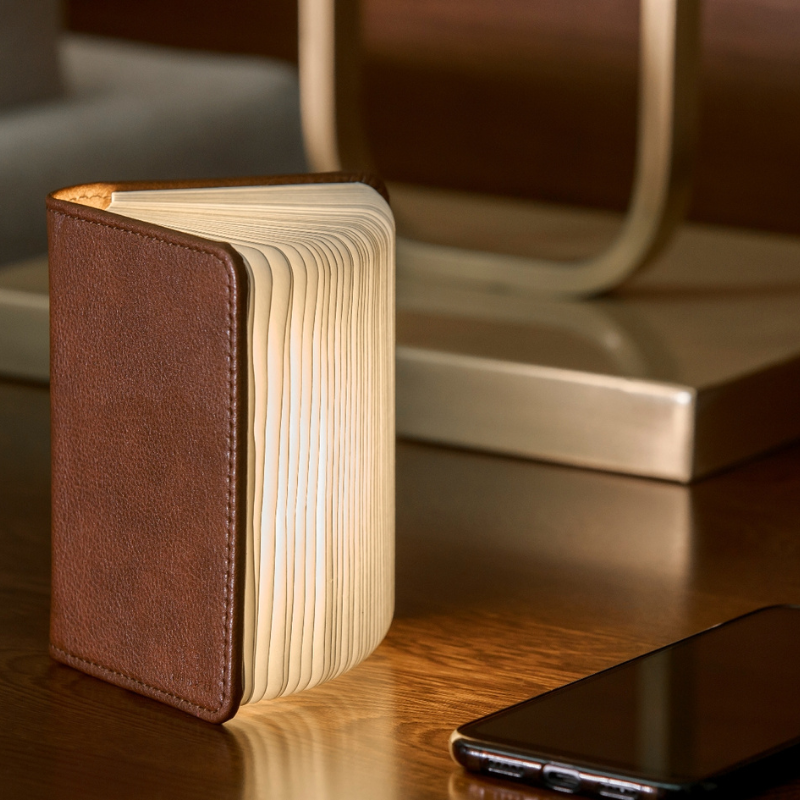 Gingko Smart Book Light (Fibre Leather)